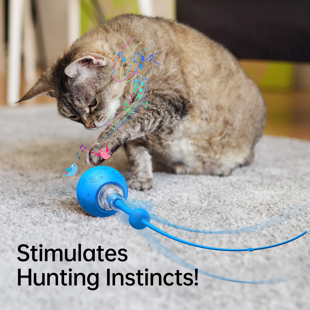Smart Electric Cat Toy