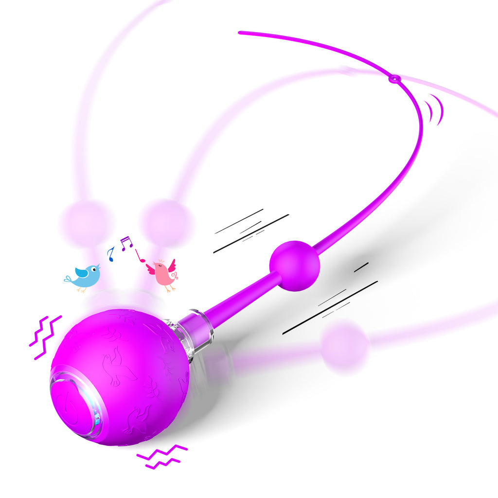 Smart Electric Cat Toy