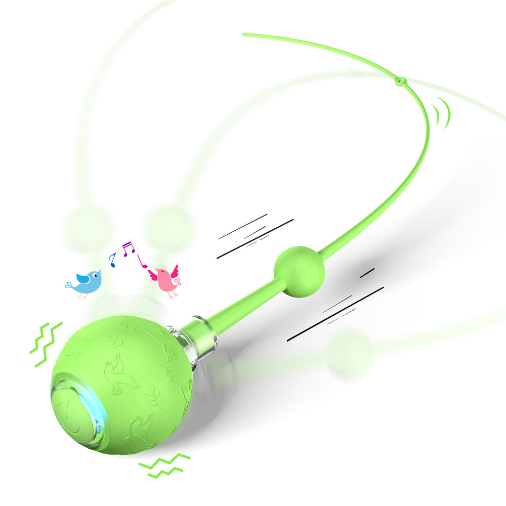 Smart Electric Cat Toy