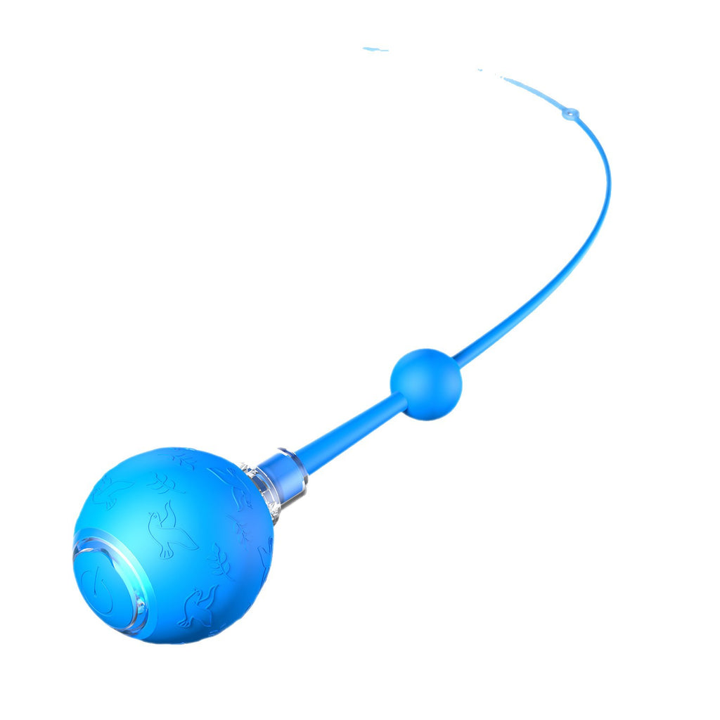 Smart Electric Cat Toy