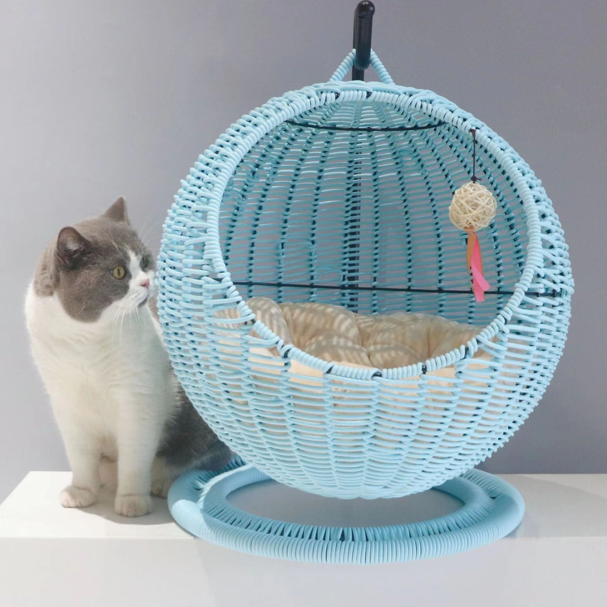 Semi-Enclosed Pet Hammock Cat Bed, Rattan Hanging Basket for Cats
