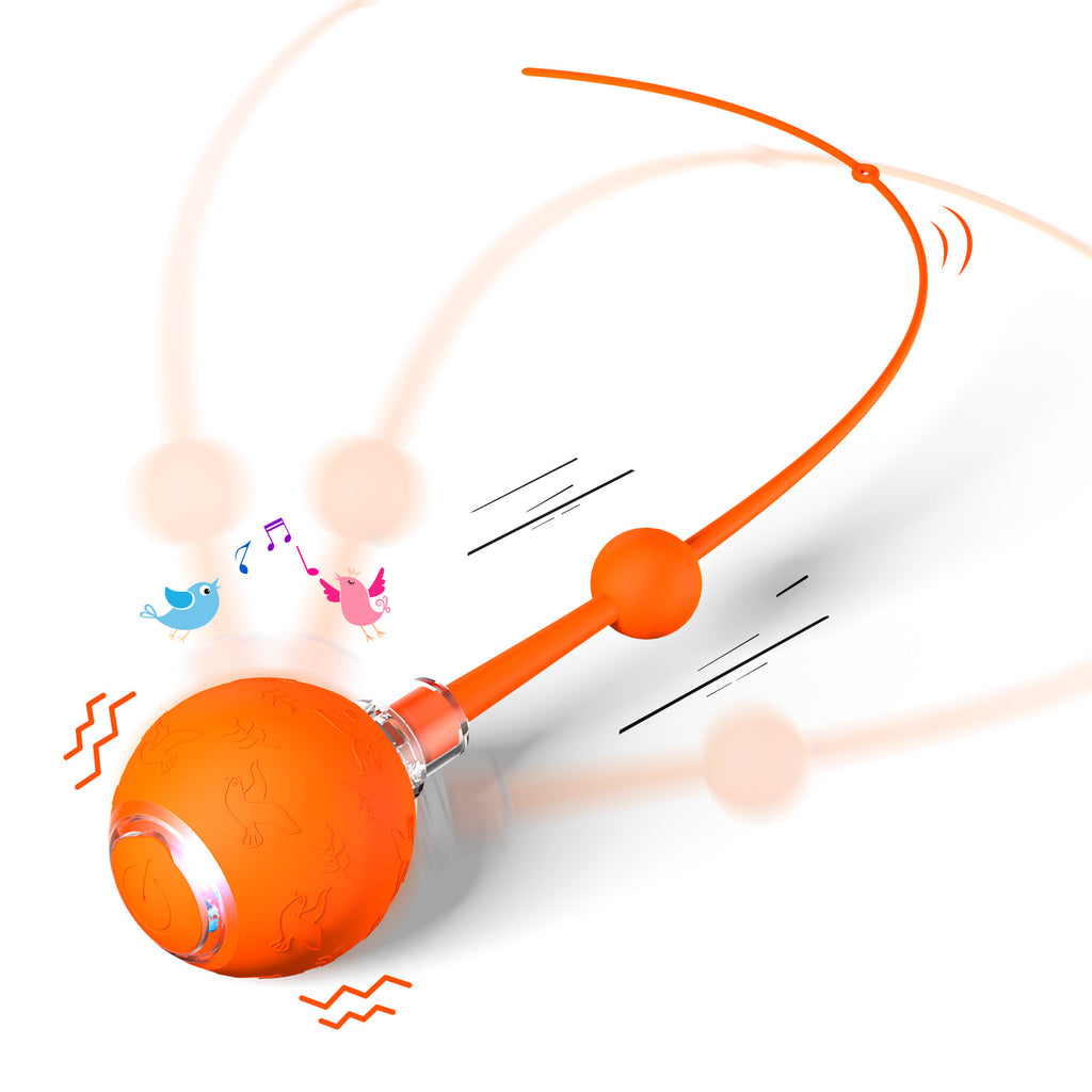 Smart Electric Cat Toy