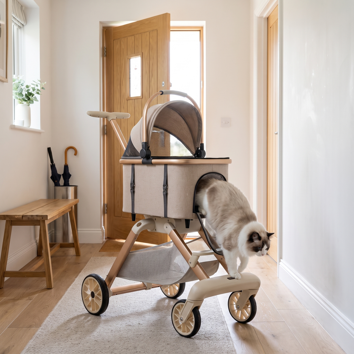 The pet stroller in a hallway with a cat stepping in through the open front