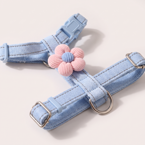 Close detail of the harness chest strap, buckle and adjusters