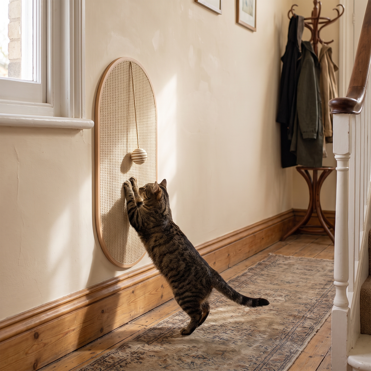Cat stretching up to scratch the wall-mounted sisal board in a hallway