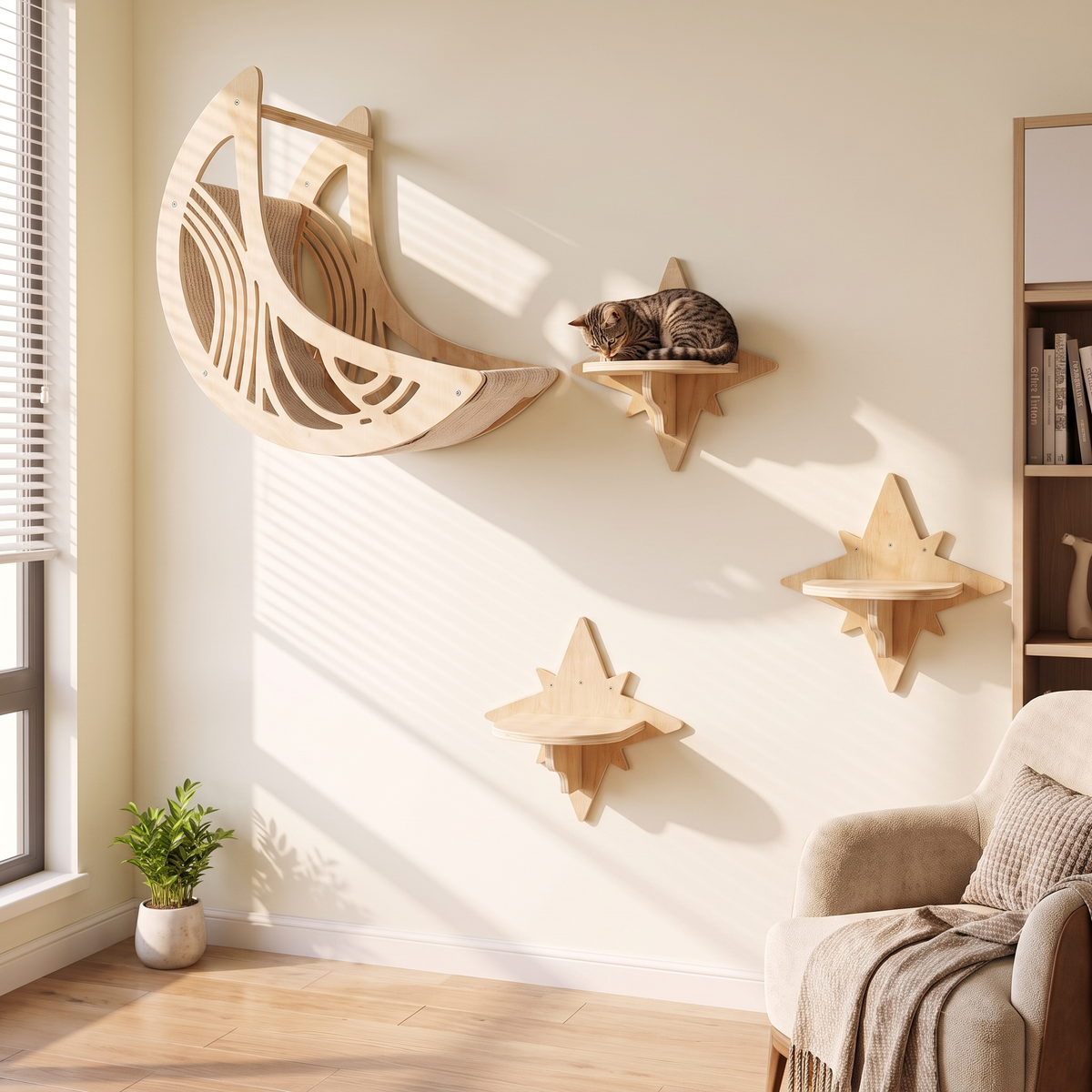 Several frames mounted as a climbing route with a cat on the top platform