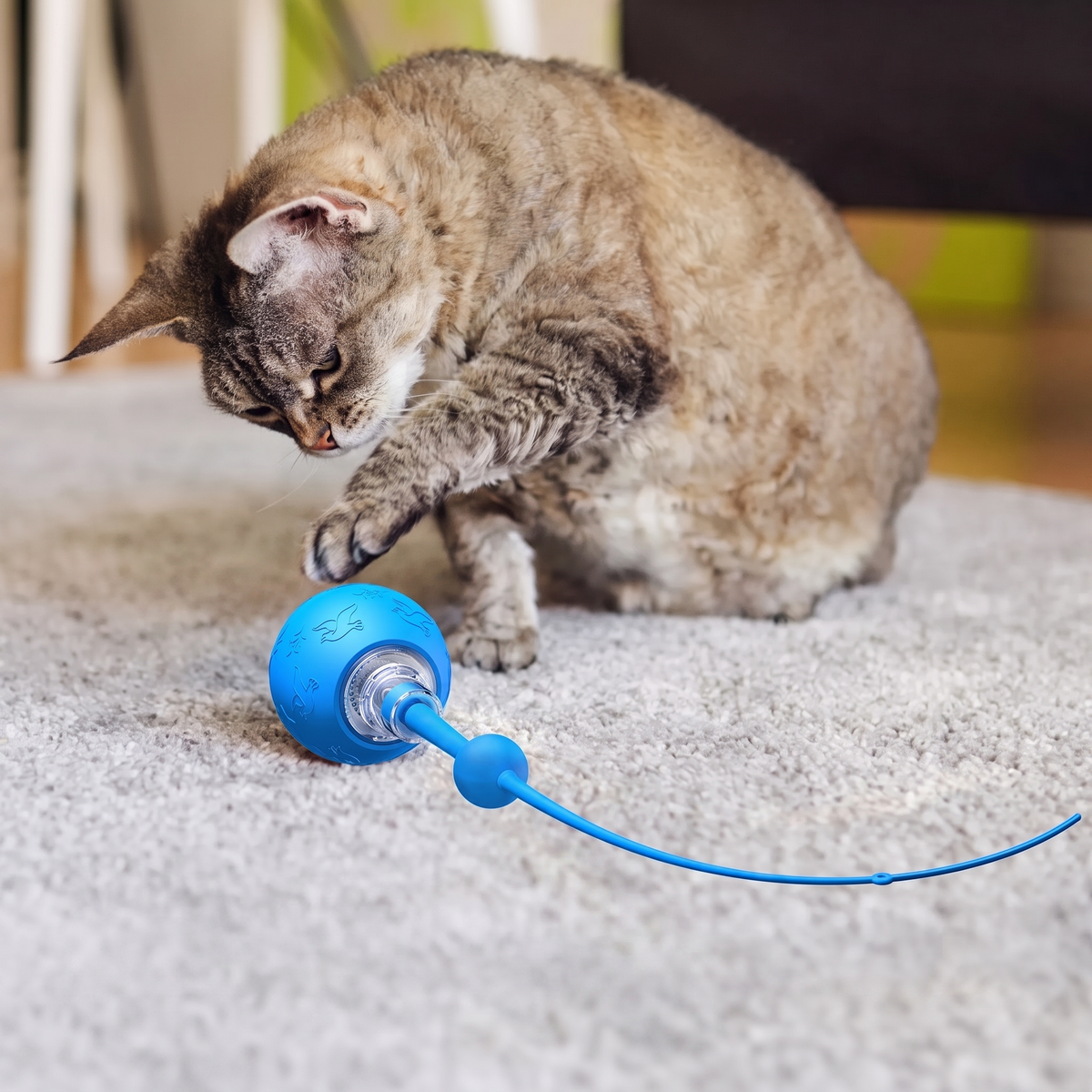 Smart electric cat toy ball in blue