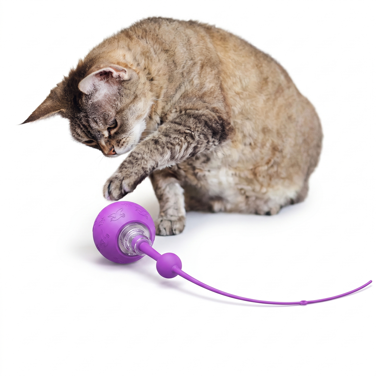 Smart electric cat toy ball in purple