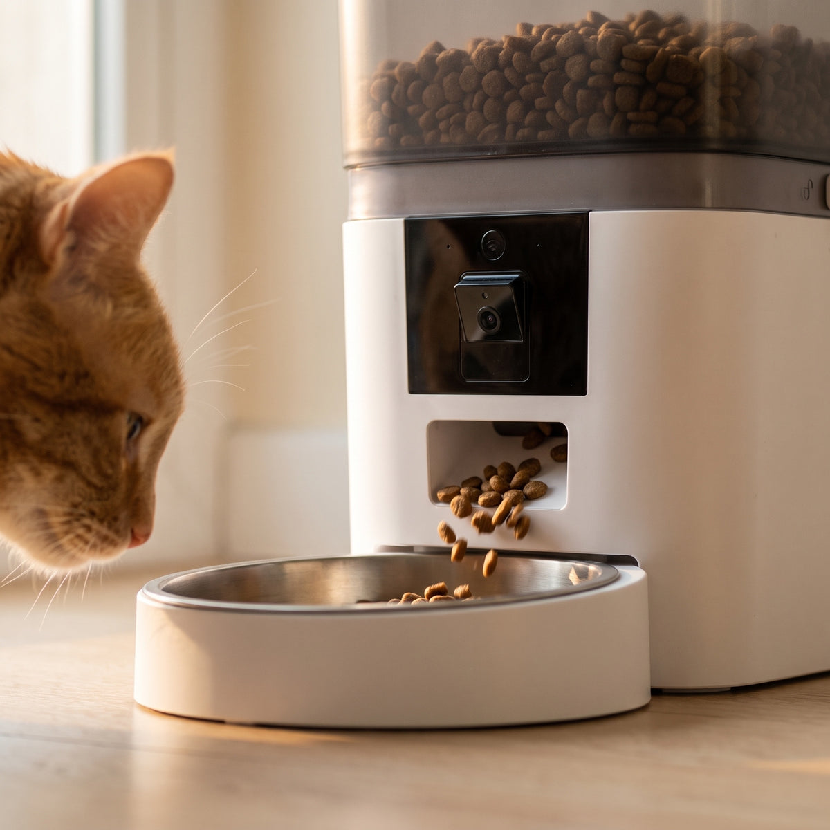 Close-up of dry food dropping from the chute into the stainless steel bowl of the white Kitty Korners cat feeder as a ginger cat approaches